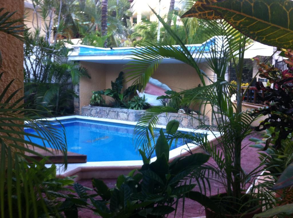 Vista Caribe Diving Resort Плая дел Кармен Екстериор снимка
