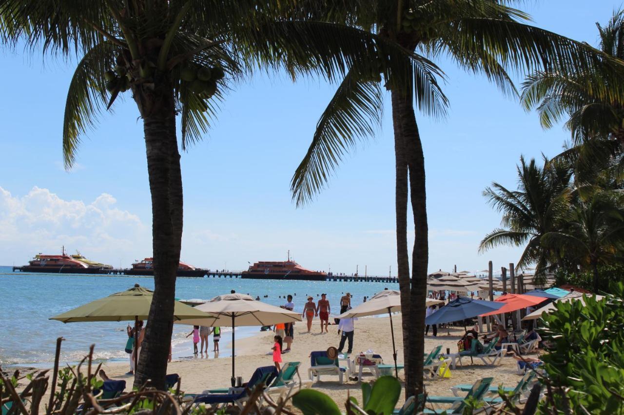 Vista Caribe Diving Resort Плая дел Кармен Екстериор снимка
